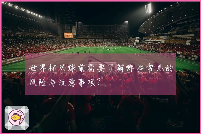 世界杯买球前需要了解哪些常见的风险与注意事项？