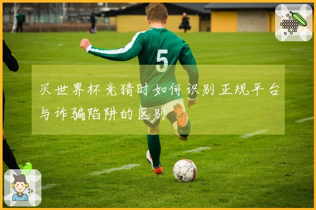 买世界杯竞猜时如何识别正规平台与诈骗陷阱的区别